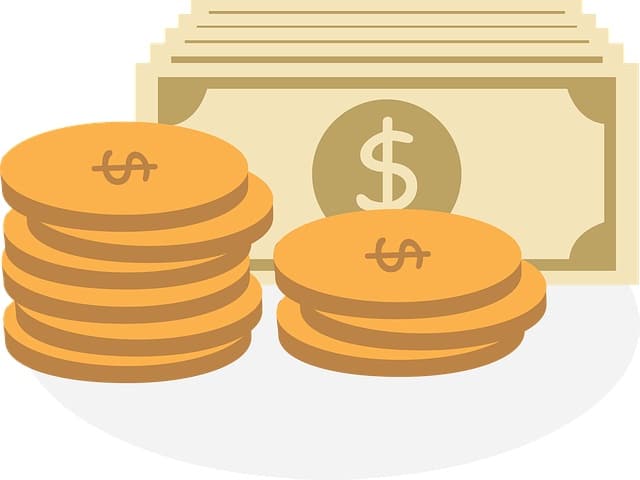 capital social