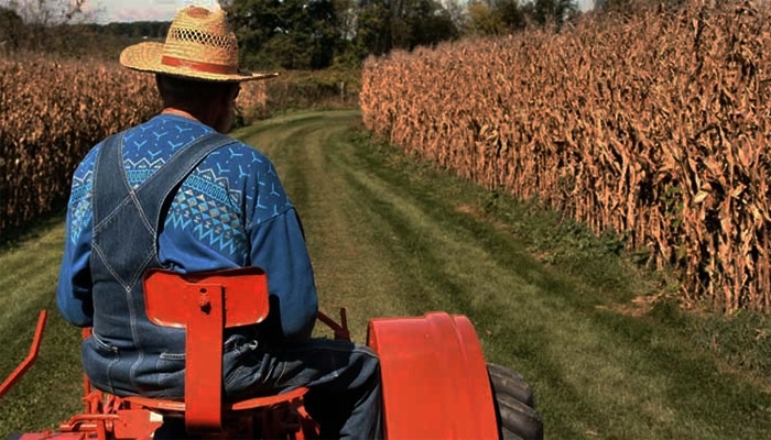 sectores para los comerciantes